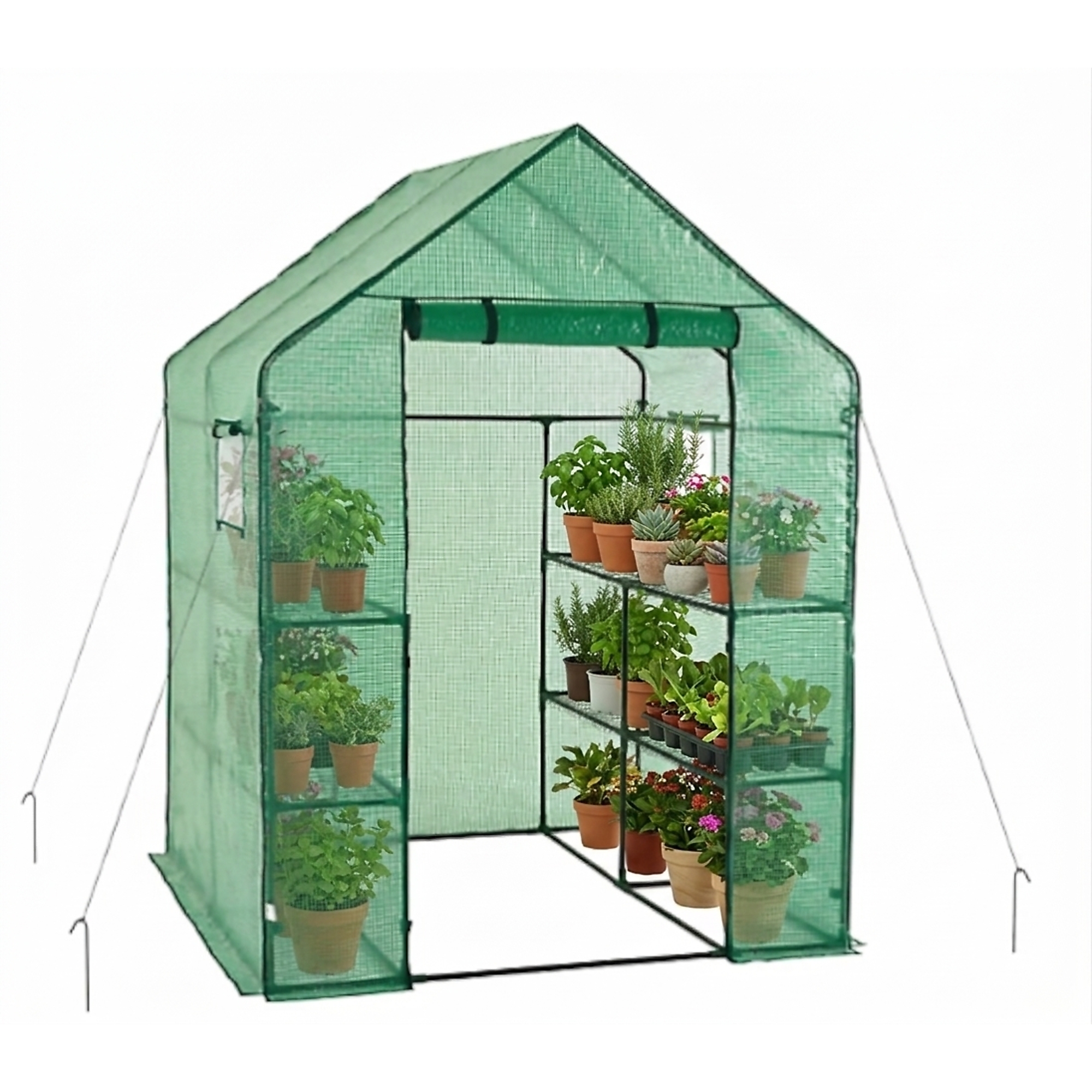 Walk-In Greenhouse with 2 Tiers and 8 Shelves - 56 in. x 56 in. x 75 in., Anchors Included